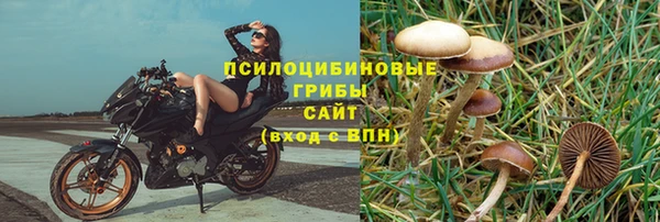 эйфоретик Нефтегорск