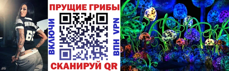Псилоцибиновые грибы мицелий  мега зеркало  Нальчик  где можно купить  