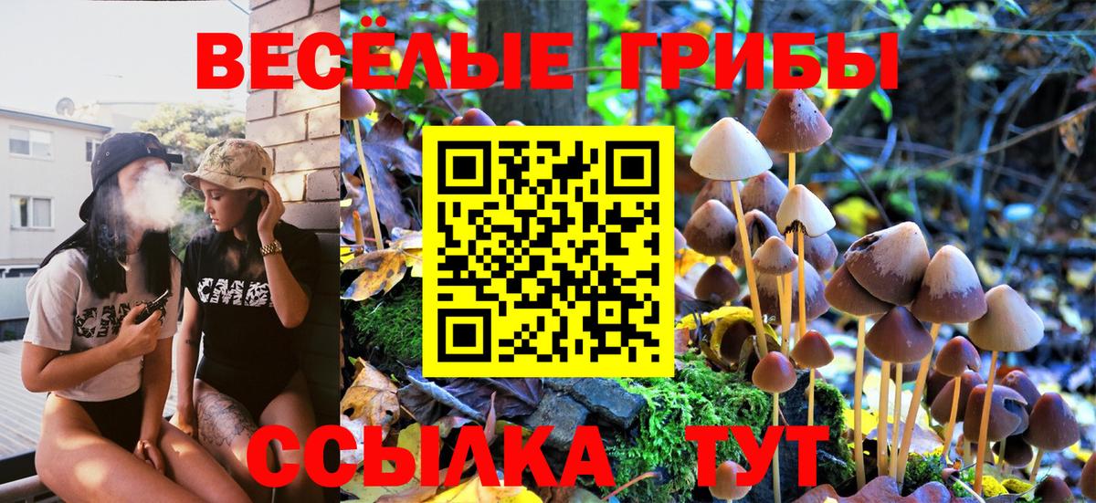 Псилоцибиновые грибы MAGIC MUSHROOMS Нальчик