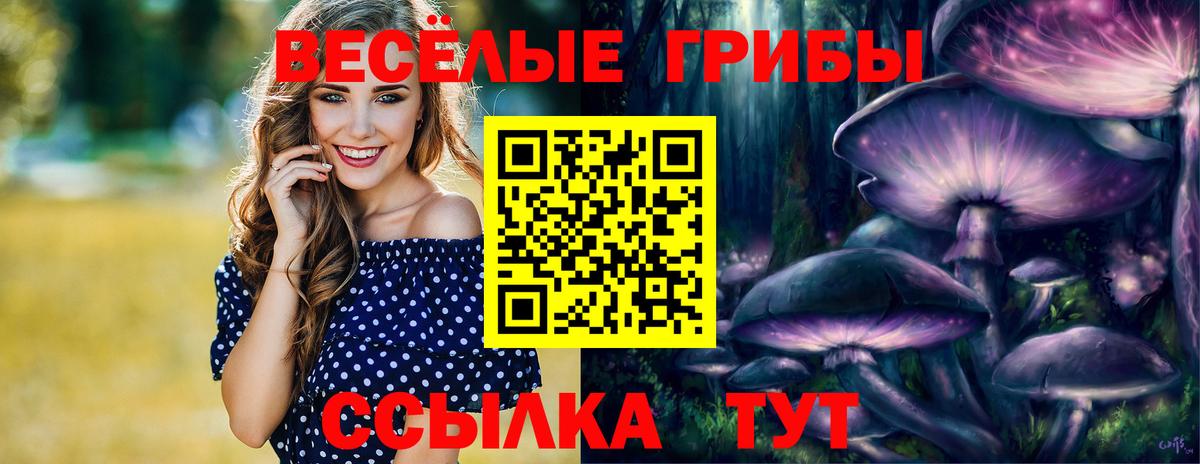 Псилоцибиновые грибы Psilocybine cubensis  Вход с VPN  Нальчик 